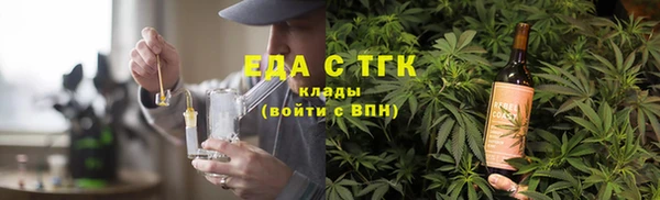 дмт Новозыбков