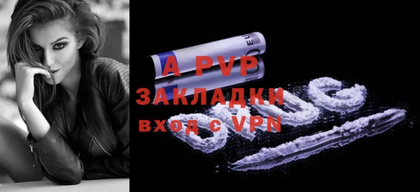 твердый Новодвинск