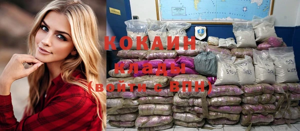 дмт Новозыбков