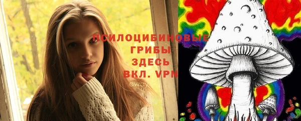 дмт Новозыбков