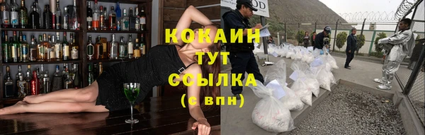дмт Новозыбков