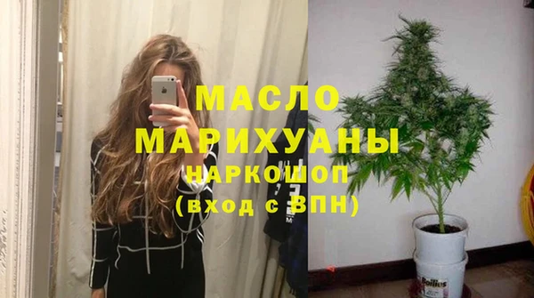 дмт Новозыбков