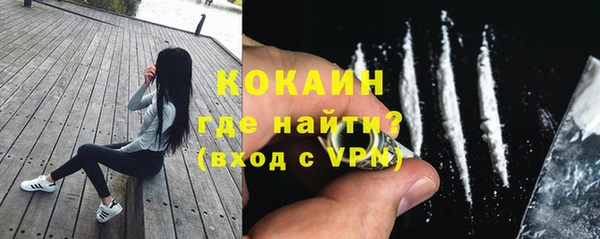 соль ск Няндома