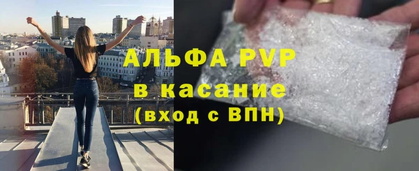 ПСИЛОЦИБИНОВЫЕ ГРИБЫ Верхний Тагил