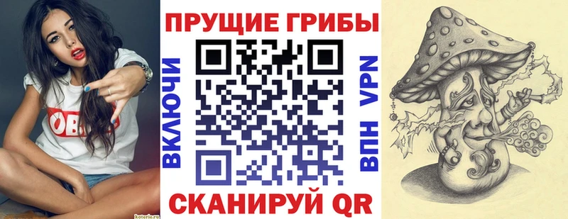 нарко площадка наркотические препараты  Инсар  Псилоцибиновые грибы Psilocybe 